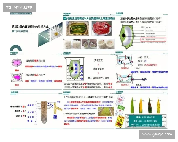 网球比赛中运动员跑动距离的影响因素及其对比赛表现的关系分析 网球比赛中运动员跑动距离的影响因素及其对比赛表现的关系分析