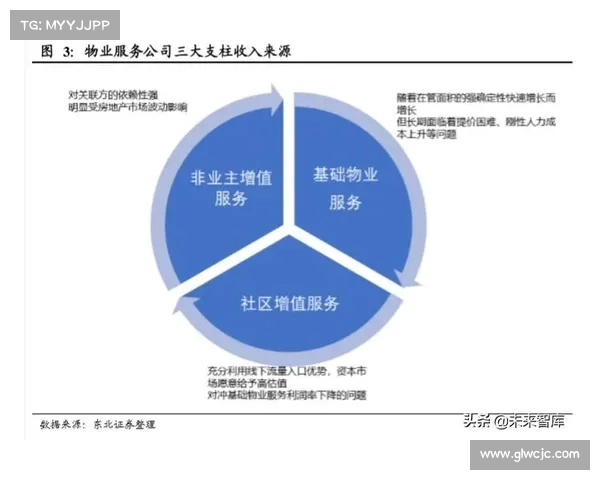 英超版权收入增长分析及其对各俱乐部经济影响的深度探讨 英超版权收入增长分析及其对各俱乐部经济影响的深度探讨
